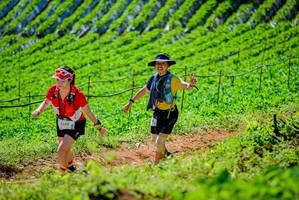 BIB: 1289
                            <button type="button" onclick="openModal(19163340)" class="btn btn-primary btn-sm float-right btn-popup" data-toggle="modal" data-target=".modal-high-quality">
                        <i class="fas fa-shopping-cart"></i> Add to Cart
                    </button>
                                            <button type="button" onclick="isThisMe(19163340, true)" class="btn btn-success btn-sm float-right btn-popup btn-isme hidden" data-toggle="tooltip" data-placement="bottom" title="นี่คือรูปของคุณใช่ไหม คลิกที่นี่เพื่อเอาเข้าอัลบั้ม">
                        <i class="fas fa-plus"></i> Add to album
                    </button>
                    <button type="button" onclick="isThisMe(19163340, false)" class="btn btn-warning btn-sm float-right btn-popup btn-isnotme hidden">
                        <i class="fas fa-ban"></i> Remove from album
                    </button>